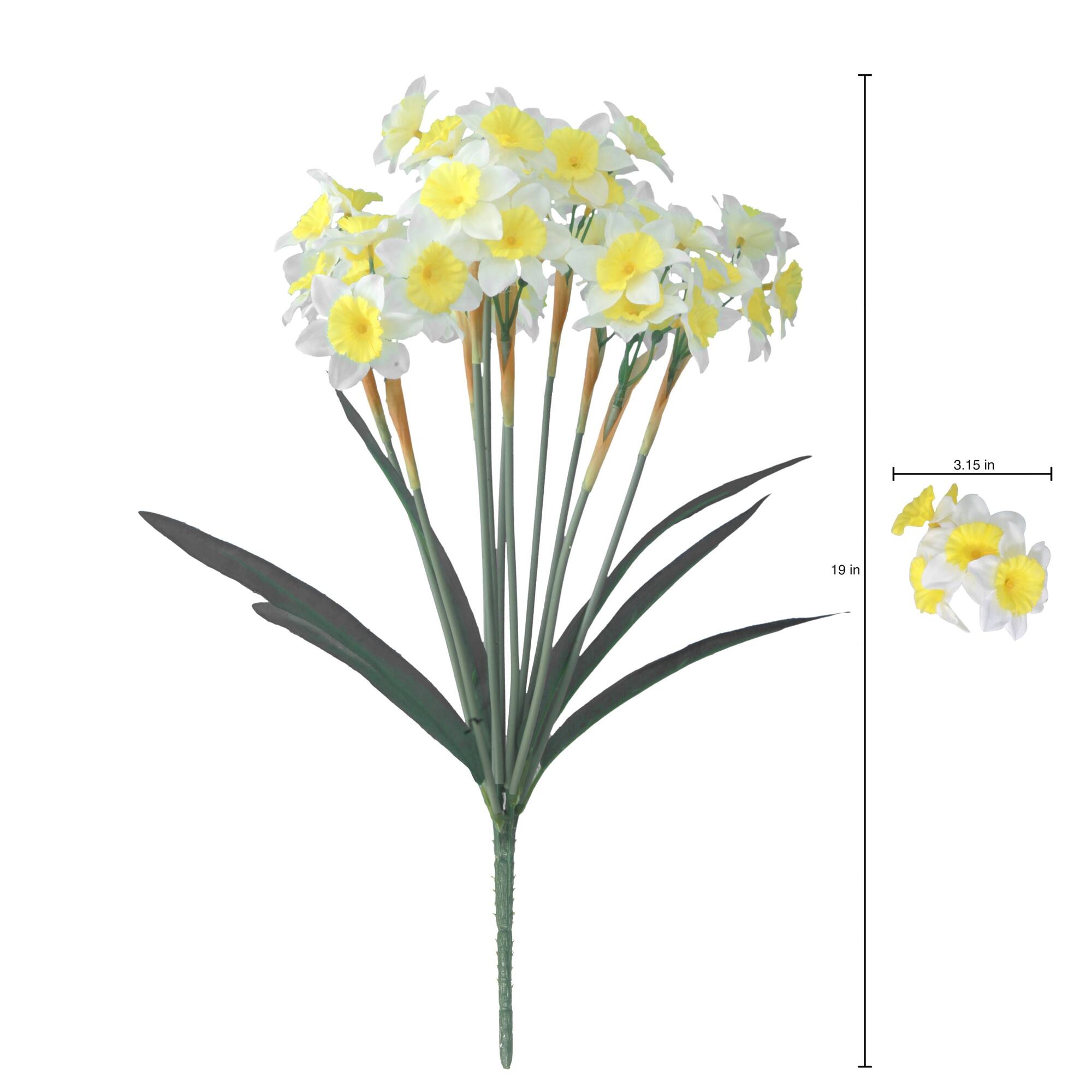 19" Narcissus Bush by Ashland